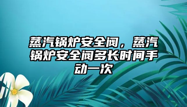 蒸汽鍋爐安全閥，蒸汽鍋爐安全閥多長時間手動一次