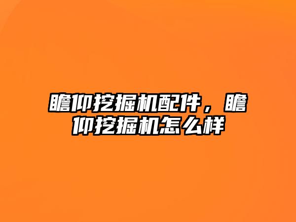 瞻仰挖掘機配件，瞻仰挖掘機怎么樣