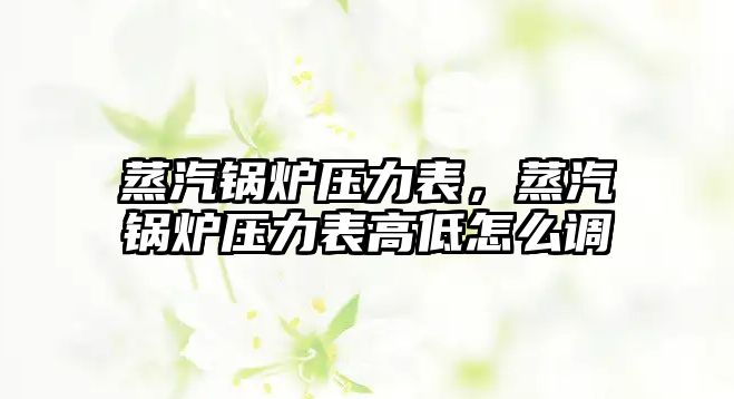 蒸汽鍋爐壓力表，蒸汽鍋爐壓力表高低怎么調(diào)