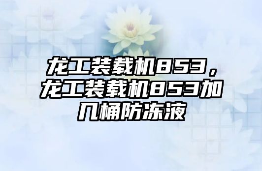 龍工裝載機(jī)853，龍工裝載機(jī)853加幾桶防凍液