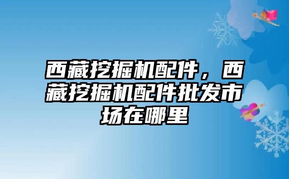 西藏挖掘機(jī)配件，西藏挖掘機(jī)配件批發(fā)市場在哪里