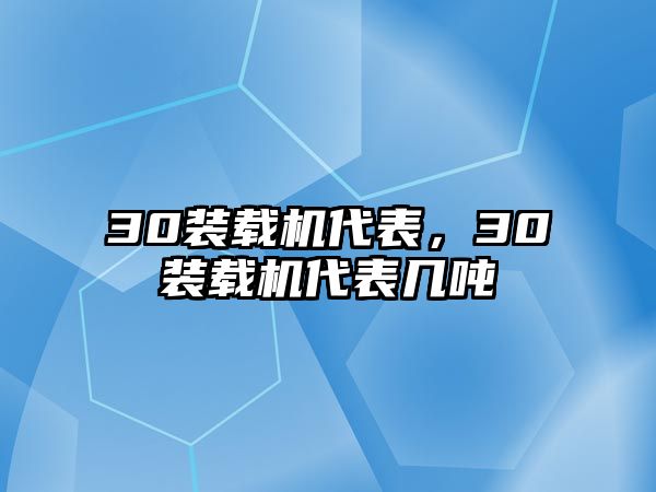 30裝載機代表，30裝載機代表幾噸