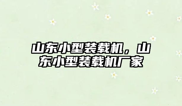 山東小型裝載機，山東小型裝載機廠家