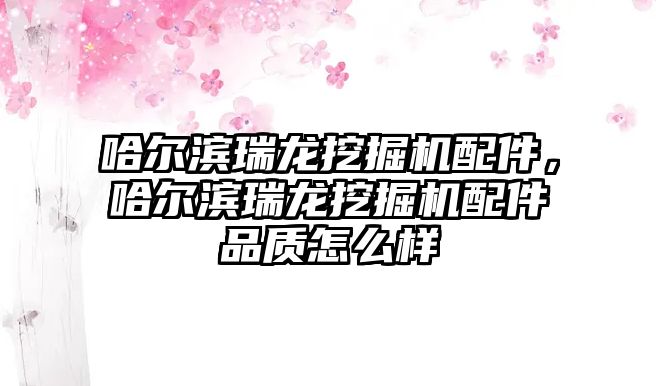 哈爾濱瑞龍挖掘機配件，哈爾濱瑞龍挖掘機配件品質怎么樣