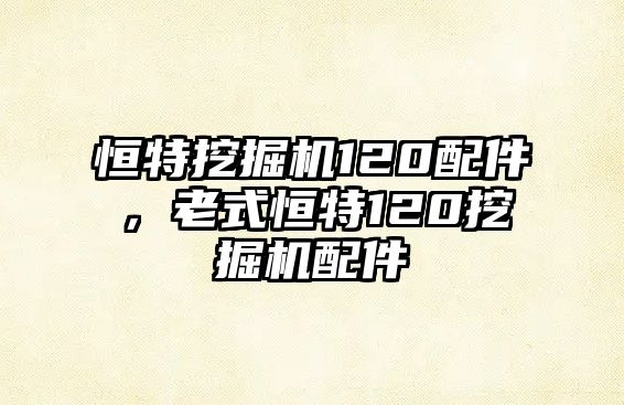 恒特挖掘機120配件，老式恒特120挖掘機配件