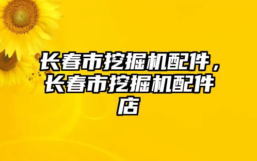 長春市挖掘機配件，長春市挖掘機配件店