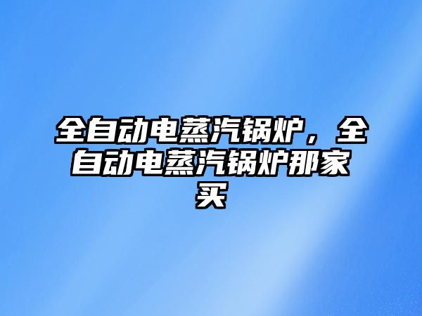 全自動電蒸汽鍋爐，全自動電蒸汽鍋爐那家買