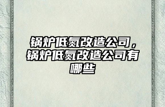 鍋爐低氮改造公司，鍋爐低氮改造公司有哪些