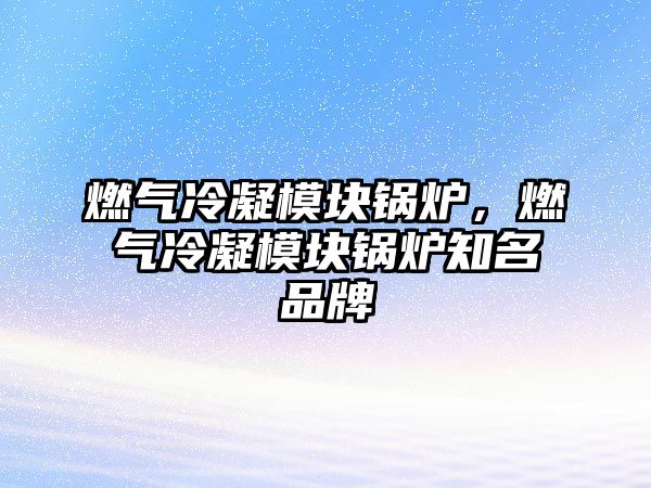 燃?xì)饫淠K鍋爐，燃?xì)饫淠K鍋爐知名品牌