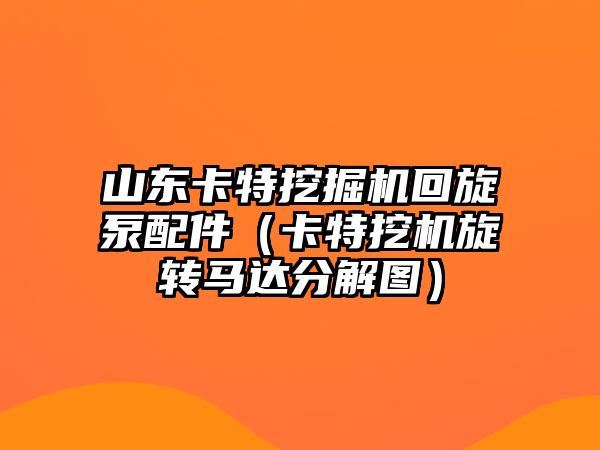 山東卡特挖掘機回旋泵配件（卡特挖機旋轉(zhuǎn)馬達分解圖）