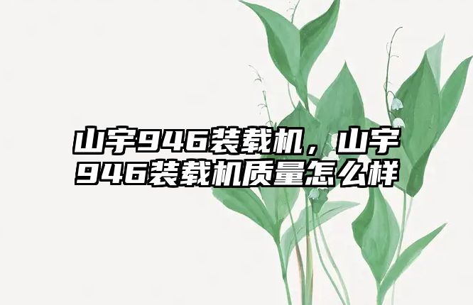 山宇946裝載機(jī)，山宇946裝載機(jī)質(zhì)量怎么樣