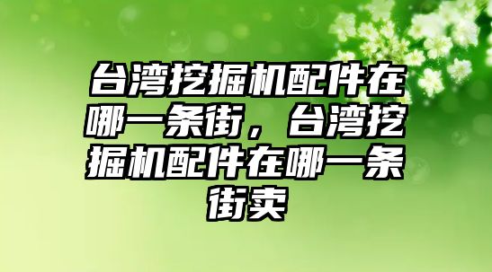 臺灣挖掘機配件在哪一條街，臺灣挖掘機配件在哪一條街賣