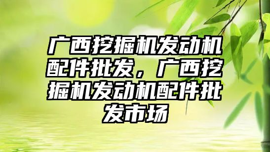 廣西挖掘機發(fā)動機配件批發(fā)，廣西挖掘機發(fā)動機配件批發(fā)市場