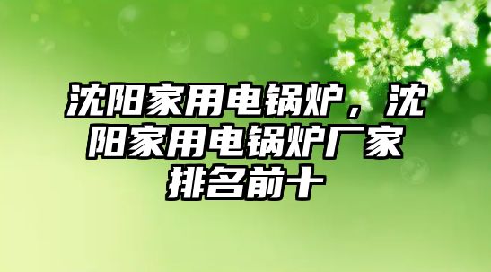 沈陽家用電鍋爐，沈陽家用電鍋爐廠家排名前十