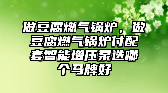 做豆腐燃氣鍋爐，做豆腐燃氣鍋爐付配套智能增壓泵迭哪個馬牌好