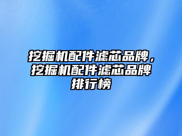 挖掘機配件濾芯品牌，挖掘機配件濾芯品牌排行榜