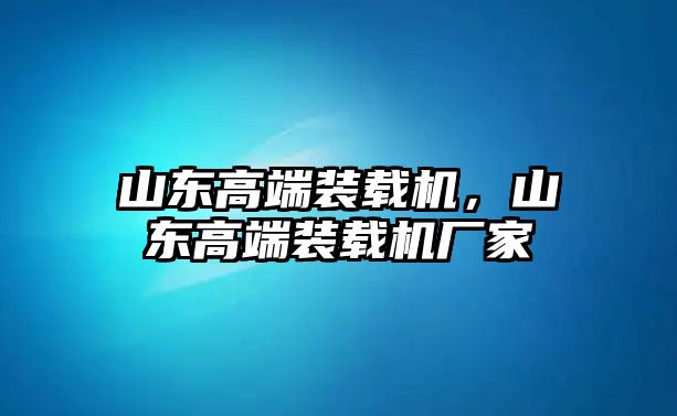 山東高端裝載機，山東高端裝載機廠家