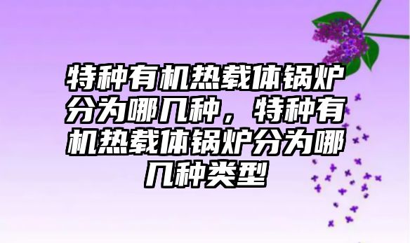 特種有機熱載體鍋爐分為哪幾種，特種有機熱載體鍋爐分為哪幾種類型