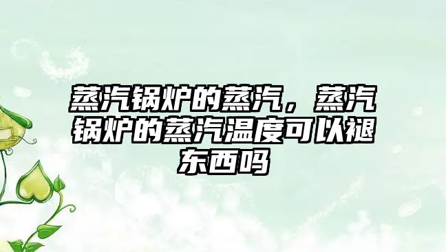 蒸汽鍋爐的蒸汽，蒸汽鍋爐的蒸汽溫度可以褪東西嗎