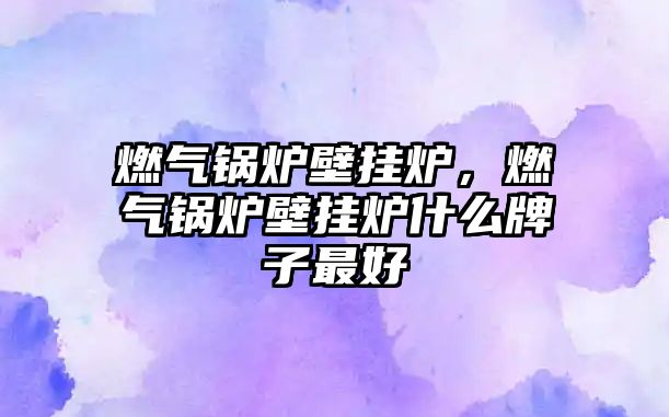 燃?xì)忮仩t壁掛爐，燃?xì)忮仩t壁掛爐什么牌子最好