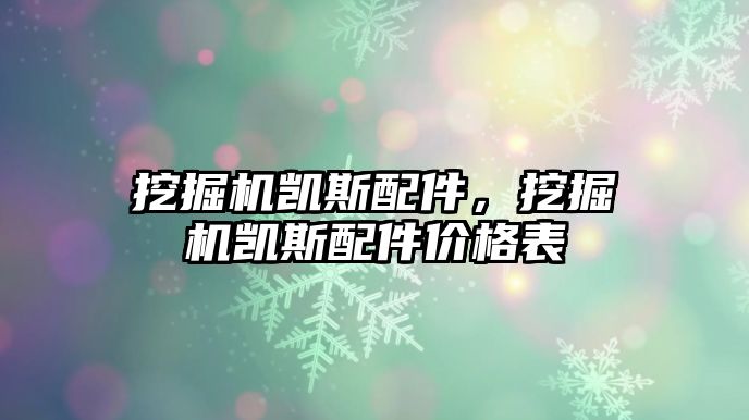 挖掘機凱斯配件，挖掘機凱斯配件價格表