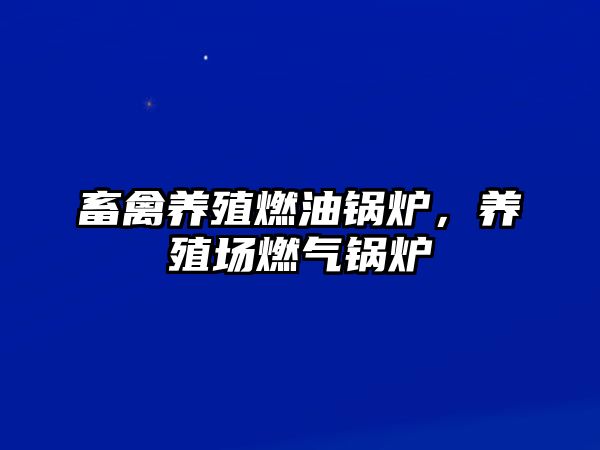 畜禽養(yǎng)殖燃油鍋爐，養(yǎng)殖場燃?xì)忮仩t