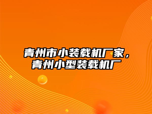 青州市小裝載機(jī)廠家，青州小型裝載機(jī)廠