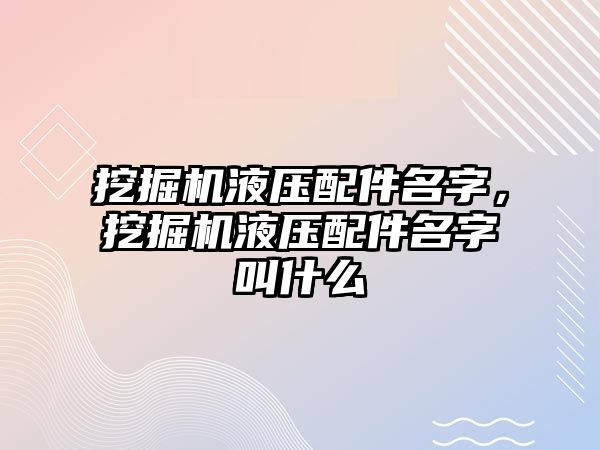 挖掘機液壓配件名字，挖掘機液壓配件名字叫什么