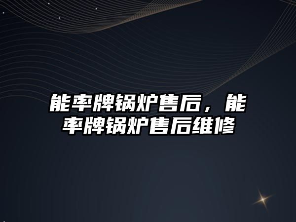 能率牌鍋爐售后，能率牌鍋爐售后維修