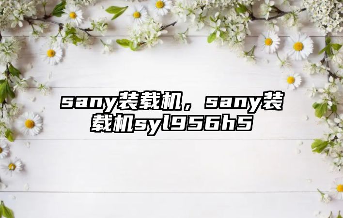 sany裝載機(jī)，sany裝載機(jī)syl956h5