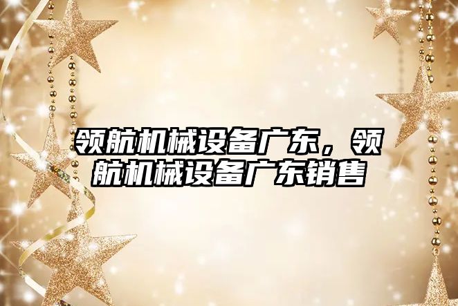 領(lǐng)航機械設(shè)備廣東，領(lǐng)航機械設(shè)備廣東銷售