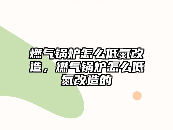 燃氣鍋爐怎么低氮改造，燃氣鍋爐怎么低氮改造的