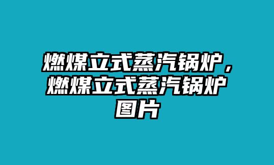 燃煤立式蒸汽鍋爐，燃煤立式蒸汽鍋爐圖片