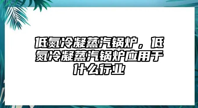 低氮冷凝蒸汽鍋爐，低氮冷凝蒸汽鍋爐應(yīng)用于什么行業(yè)