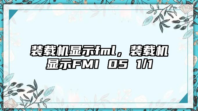 裝載機顯示fml，裝載機顯示FMI 05 1/1