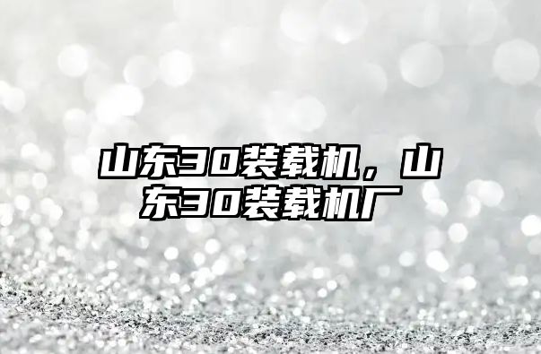 山東30裝載機，山東30裝載機廠