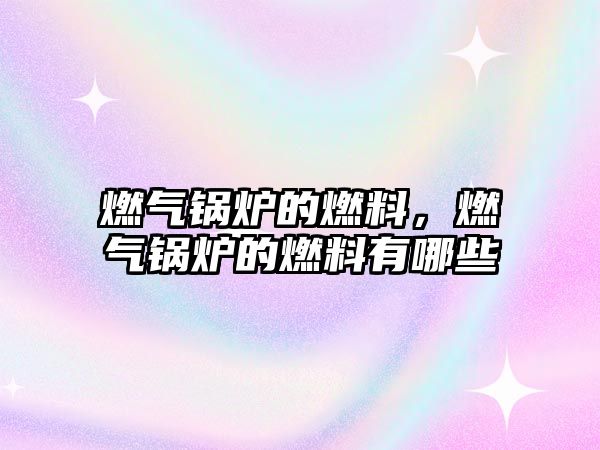 燃?xì)忮仩t的燃料，燃?xì)忮仩t的燃料有哪些