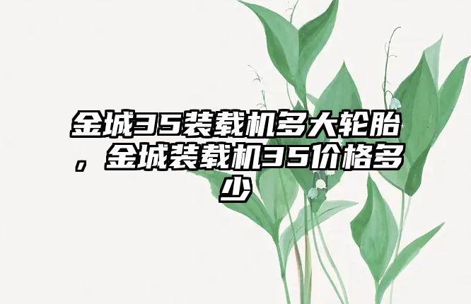 金城35裝載機多大輪胎，金城裝載機35價格多少