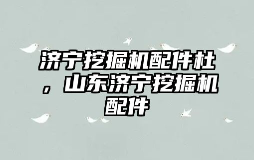 濟(jì)寧挖掘機(jī)配件杜，山東濟(jì)寧挖掘機(jī)配件