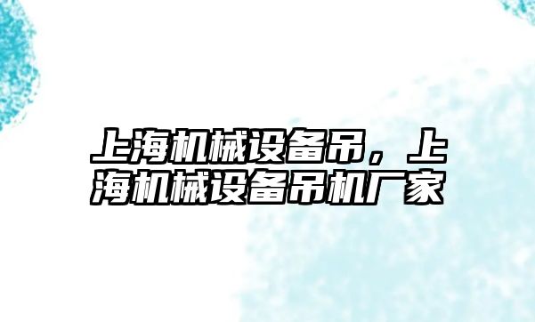 上海機械設(shè)備吊，上海機械設(shè)備吊機廠家