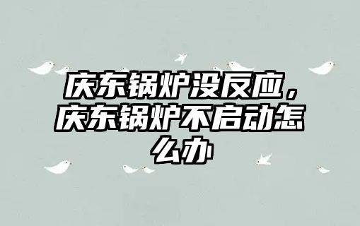 慶東鍋爐沒反應(yīng)，慶東鍋爐不啟動怎么辦