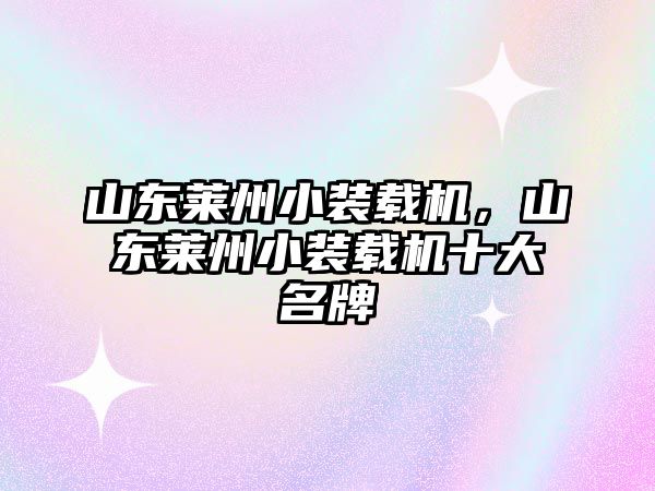 山東萊州小裝載機，山東萊州小裝載機十大名牌