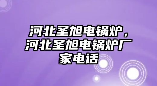 河北圣旭電鍋爐，河北圣旭電鍋爐廠家電話