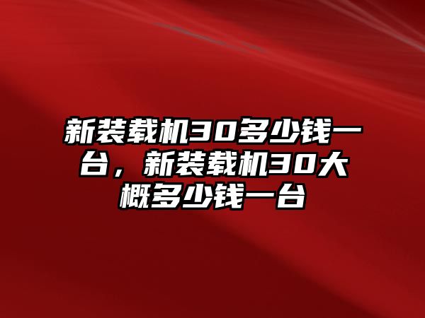 新裝載機(jī)30多少錢一臺(tái)，新裝載機(jī)30大概多少錢一臺(tái)