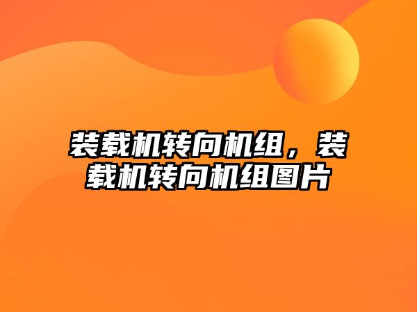 裝載機轉(zhuǎn)向機組，裝載機轉(zhuǎn)向機組圖片