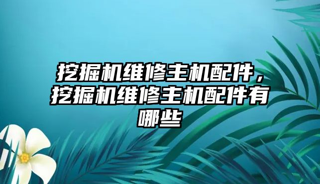 挖掘機(jī)維修主機(jī)配件，挖掘機(jī)維修主機(jī)配件有哪些