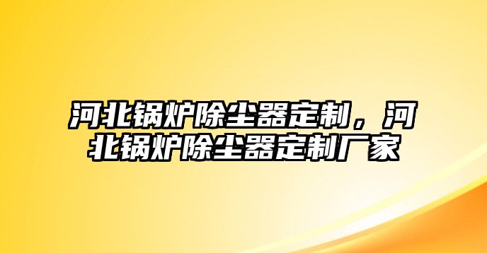 河北鍋爐除塵器定制，河北鍋爐除塵器定制廠家