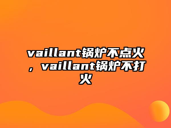 vaillant鍋爐不點(diǎn)火，vaillant鍋爐不打火