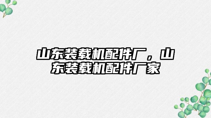 山東裝載機配件廠，山東裝載機配件廠家