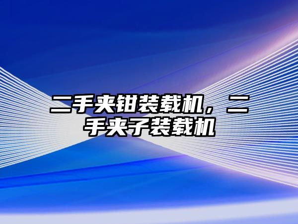 二手夾鉗裝載機(jī)，二手夾子裝載機(jī)